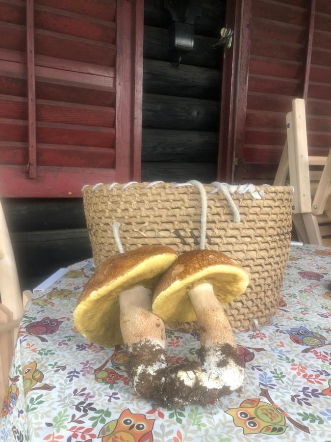 Tilia Cottage Banjska Stena ميترفاتس المظهر الخارجي الصورة