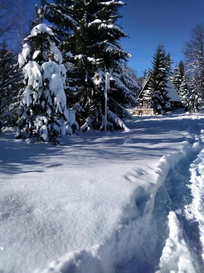 Tilia Cottage Banjska Stena ميترفاتس المظهر الخارجي الصورة